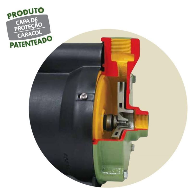 Motobomba-Centrifuga-Schneider-1-4CV-BCR-2000-220-Volts