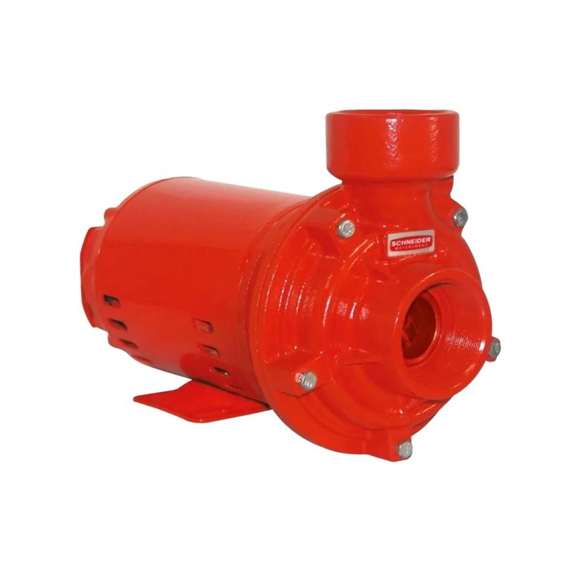 Motobomba-Centrifuga-Schneider-BPI-92S-R2-1-2-3CV-127-220-Volts
