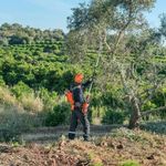 Motopoda-Podador-De-Galhos-a-Bateria-Husqvarna-536lip4-Profissional