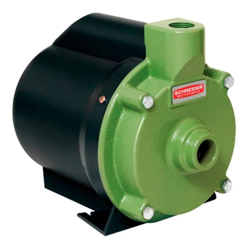 Motobomba-Centrifuga-Residencial-Schneider-Bcr-2000-1-3-CV-220-Volts