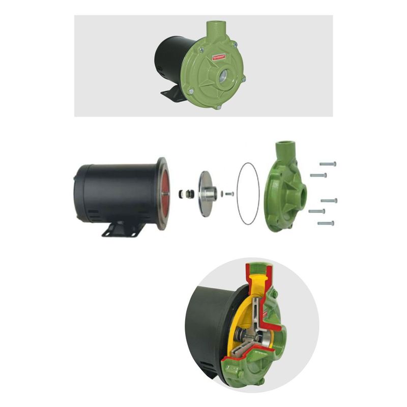 Motobomba-Centrifuga-Monoestagio-Schneider-BC-92S-1C-1-CV-127-220-Volts