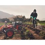 Motor-Husqvarna-HH270MP-9HP-Estacionario-Original