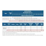 Motobomba-Centrifuga-Schneider-Prevencao-Incendio-BPI-92S-2-1-2-3CV-220-380-Volts