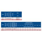 Motobomba-Periferica-PG-10-1-Polegada-1-CV-127-Volts