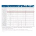 Motobomba-Centrifuga-Schneider-19-estagios-BT4-0720E19-2CV-127-220V