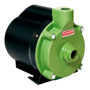 Motobomba Centrifuga Residencial Schneider Bcr-2000 1/2 CV 220 Volts