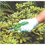 Tesoura-Poda-Jardinagem-em-Aco-18-5cm-TS-3128-Trapp-Original