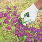 Tesoura-Colheita-e-Desbaste-18-5cm-TS-803B-Trapp-Original