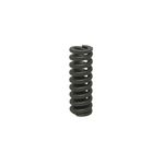 Mola-Helicoidal-Bomba-Karcher-HD-10-25-Original