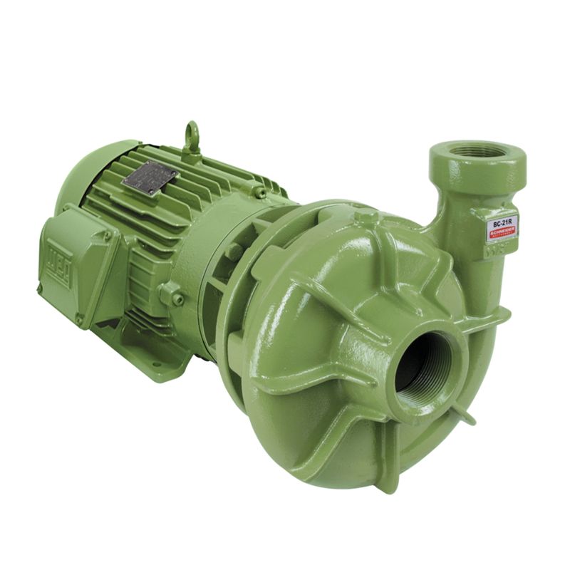 Motobomba-Centrifuga-Schneider-BC-21R-1-1-4-Polegada-3CV-220-380-440-760V