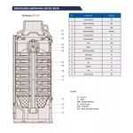 Motobomba-Submersa-Leao-3R3PB-25-180-1-5CV-Control-Box-127V