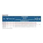 Motobomba-Submersa-Leao-3R3PB-09-180-1-2CV-2F-220v