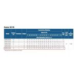 Motobomba-Submersa-Leao-3R3PB-25-180-1-5CV-Control-Box-220v