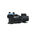Motobomba-Centrifuga-Para-Piscina-1-1-2-Polegada-Schneider-Eko-1CV-220-380V
