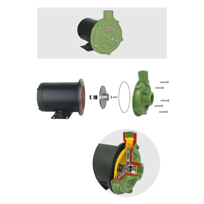 Motobomba-Centrifuga-Monoestagio-Schneider-BC-92S-1B-1CV-220-380V