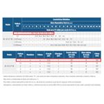 Motobomba-Centrifuga-Monoestagio-Schneider-BC-92S-1B-1CV-220-380V