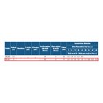 Motobomba-Periferica-Schneider-PG-10-1-Polegada-1CV-220V