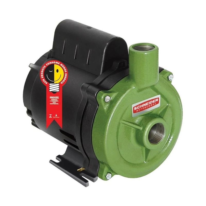 Motobomba-Centrifuga-Residencial-Schneider-BC-98-1-3CV-4-5m--h-127-Volts