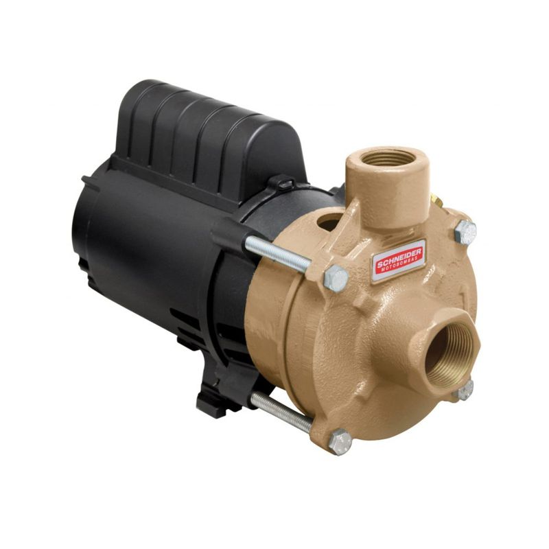 Motobomba-Centrifuga-Schneider-BC-91T-0-25M-1-4CV-220V