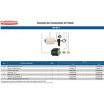 Motobomba-Centrifuga-Schneider-Tap-02c-1-2-CV-220-Volts