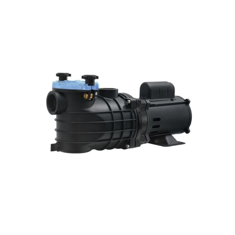 Motobomba-Centrifuga-Schneider-EKO-Para-Piscina-1-5-CV-127-220-254-Volts