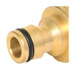 Adaptador-Macho-Em-Bronze-3-4--DY-8018C-Trapp-Original