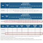 Motobomba Centrifuga Schneider BCR-2010 3-4 CV 220 Volts
