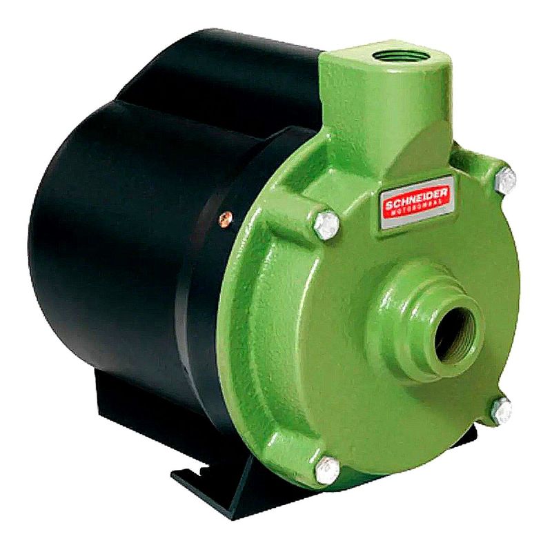 Motobomba Centrifuga Residencial Schneider Bcr-2000 1-2 CV 220 Volts