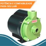 Motobomba Centrifuga Residencial Schneider Bcr-2000 1-2 CV 220 Volts