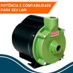 Motobomba Centrifuga Residencial Schneider Bcr-2000 1-2 CV 220 Volts