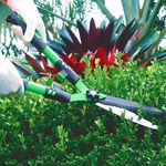 Tesoura Para Podar Cercas Vivas TS30886 Trapp Original